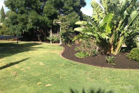 Property photo of 11 Pacific Circuit Salisbury Heights SA 5109