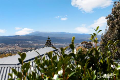 Property photo of 17 Dandenong Road Trevallyn TAS 7250