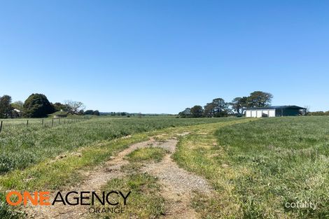 Property photo of 115 Burtons Lane Forest Reefs NSW 2798