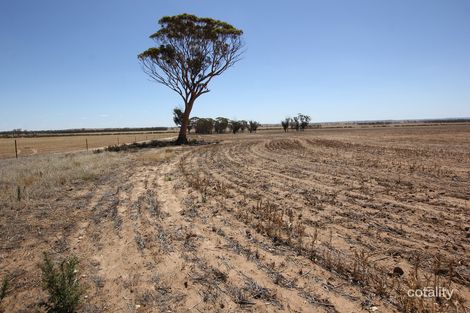 753 Badgetopping South Rd, South Doodlakine, WA 6411