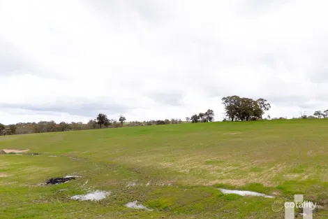 Property photo of 110 West Road Pyalong VIC 3521