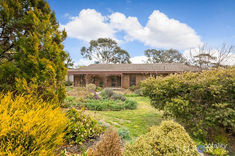 61 Gaunson Cres, Wanniassa, ACT 2903