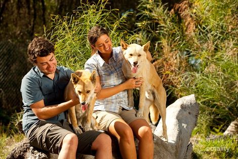 4061 Ararat-Halls Gap Rd, Halls Gap, VIC 3381