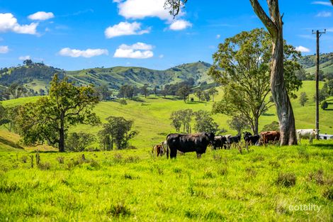 169 Pitlochry Rd, Back Creek, NSW 2422