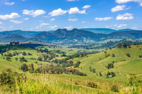 Property photo of 169 Pitlochry Road Back Creek NSW 2422