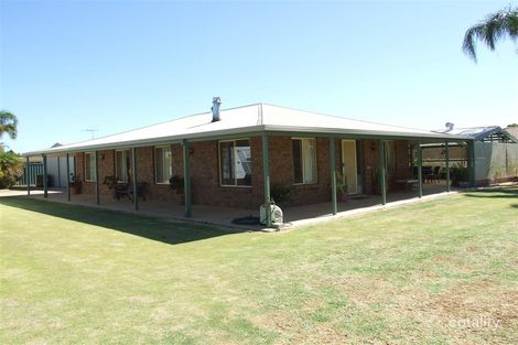 Property photo of 23 Downer Avenue Lyrup SA 5343