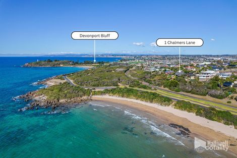 Property photo of 1A Chalmers Lane Devonport TAS 7310
