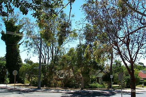 18 Dumfries Rd, Floreat, WA 6014