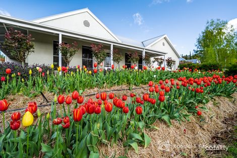 Property photo of 3 Smith Street Beechworth VIC 3747