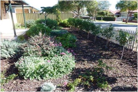 Property photo of 67 California Street Collinswood SA 5081