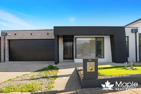 56 Distinction Ave, Craigieburn, VIC 3064