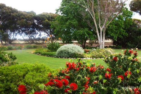 Property photo of 11 Ford Road Minlaton SA 5575