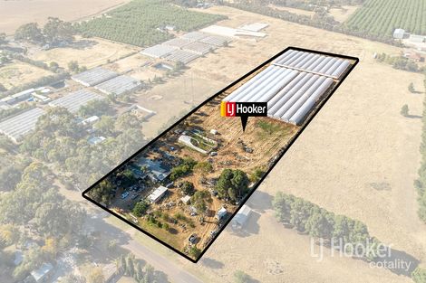 Property photo of 41 Pannan Road Munno Para Downs SA 5115