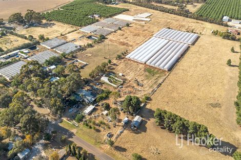 Property photo of 41 Pannan Road Munno Para Downs SA 5115