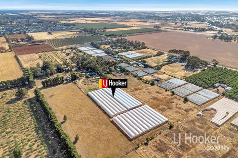 Property photo of 41 Pannan Road Munno Para Downs SA 5115