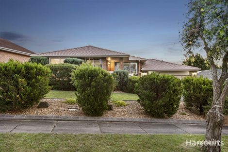 Property photo of 3 Salignus Court Narre Warren VIC 3805