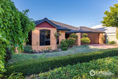 Property photo of 6 Eucla Mews Aubin Grove WA 6164