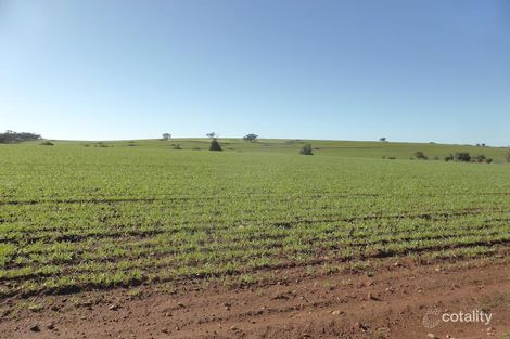 Property photo of 93 Carter Road Throssell WA 6401