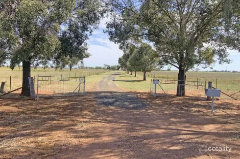 Property photo of 71 Gospers Lane Peak Hill NSW 2869