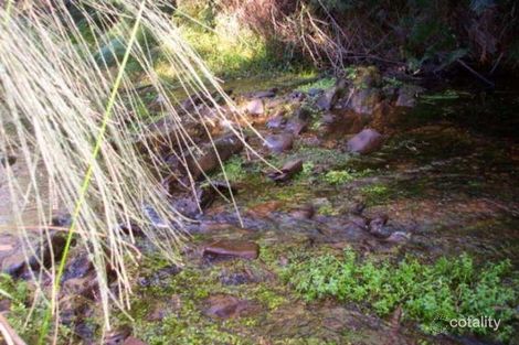 Property photo of 173 Spring Creek Road Wamban NSW 2537