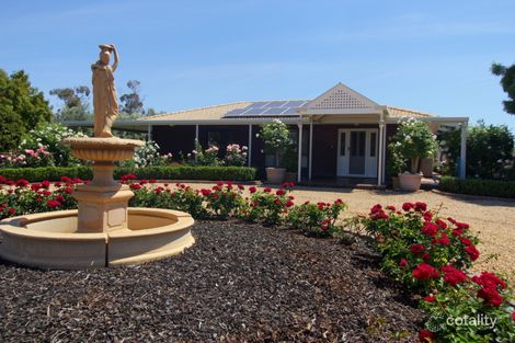 194 Winkie Rd, Winkie, SA 5343