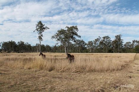 Property photo of 25 Calvin Street Walloon QLD 4306
