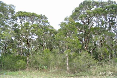 Property photo of York Road Angus NSW 2765