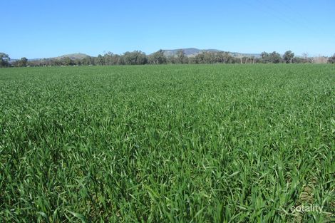 56 Kellys Lane, Violet Town, VIC 3669