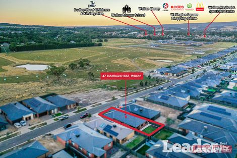 Property photo of 47 Riceflower Rise Wallan VIC 3756
