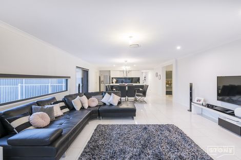 Property photo of 41 Canopus Street Bridgeman Downs QLD 4035