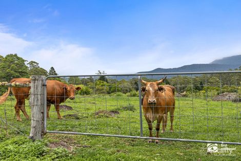 Property photo of 438 Mount Burrell Road Mount Burrell NSW 2484