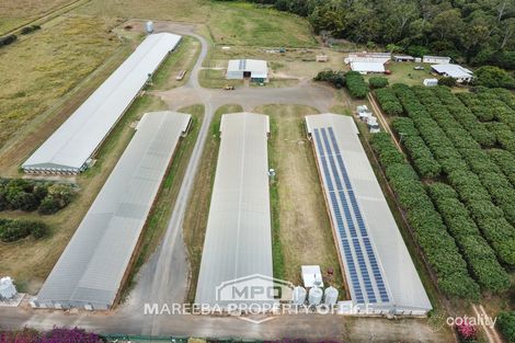 1004 Bilwon Rd, Biboohra, QLD 4880