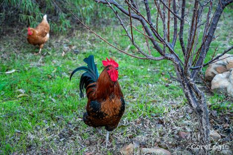 Property photo of 1799 Wellington Road Woodchester SA 5255