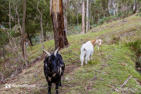 Property photo of 36 Jacobsons Place Kingston TAS 7050