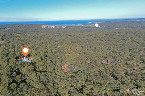 2a Flowers Dr, Catherine Hill Bay, NSW 2281