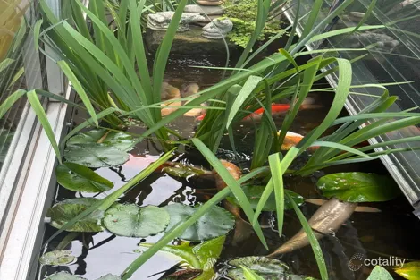 Property photo of 9 Pickering Lane Woollahra NSW 2025