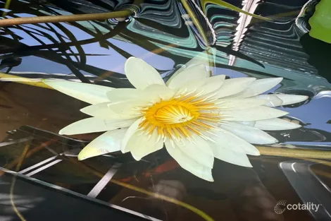 Property photo of 9 Pickering Lane Woollahra NSW 2025