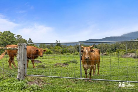 Property photo of 438 Mount Burrell Road Mount Burrell NSW 2484
