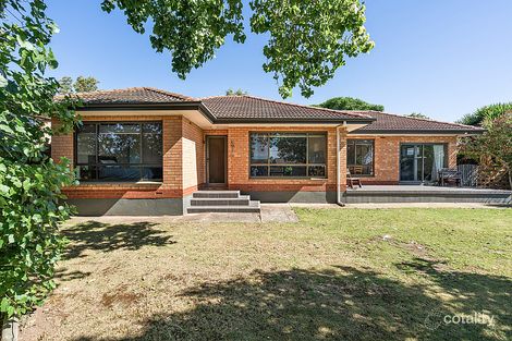 Property photo of 3 Ringwood Road Morphett Vale SA 5162