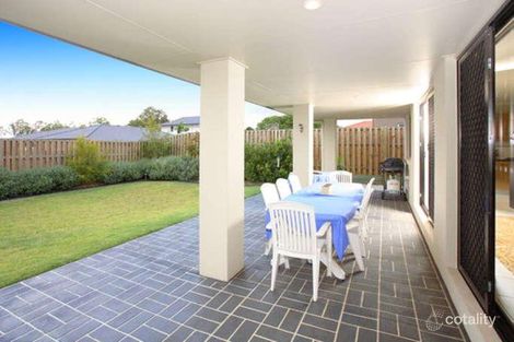 Property photo of 7 Macaranga Crescent Carseldine QLD 4034