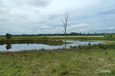 Property photo of 1015 Bidwill Road Bidwill QLD 4650