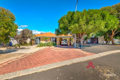 Property photo of 11 Monger Court Usher WA 6230