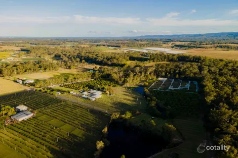 Property photo of 47-73 McClintock Road Wamuran QLD 4512