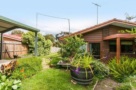 Property photo of 16 Strathcairn Avenue Jan Juc VIC 3228
