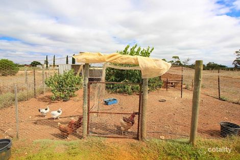 Property photo of 54 Jones Road Glossop SA 5344