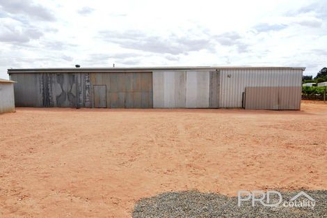 Property photo of 58 Hollins Road Red Cliffs VIC 3496