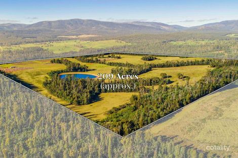 17 Parisi Lane, Narbethong, VIC 3778