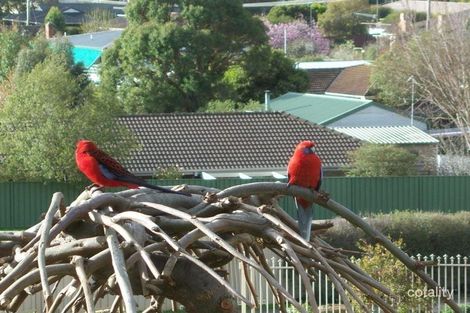 33 Mckenzie St, Alexandra, VIC 3714