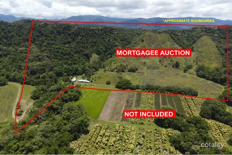 48 Beatrice Rd, Stewart Creek Valley, QLD 4873