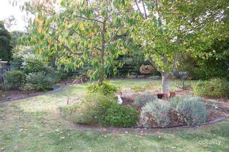 Property photo of 32 Nixon Street Rosebud VIC 3939